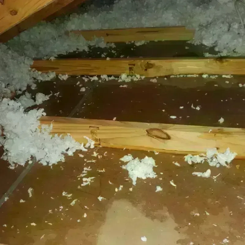 Attic Water Damage in Hodgdon, ME